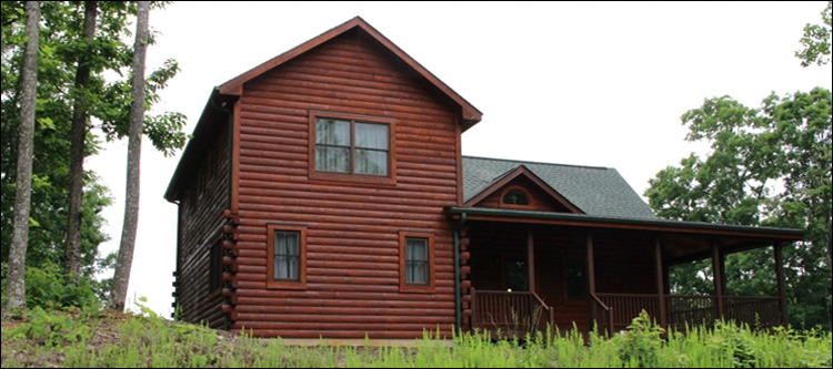 Professional Log Home Borate Application  Amelia County, Virginia